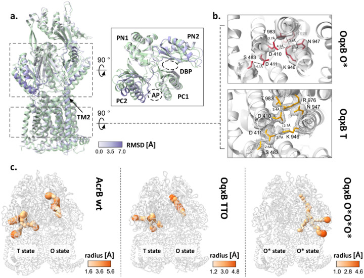 Figure 4: