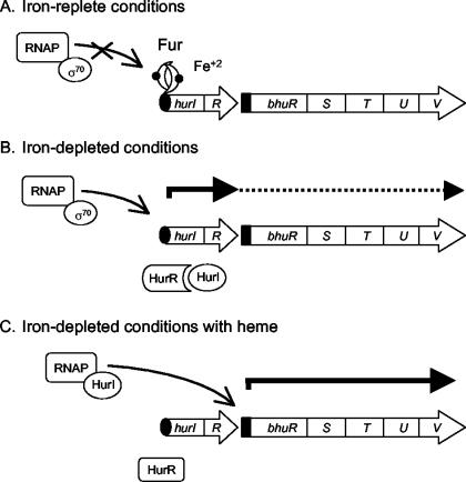 FIG. 10.