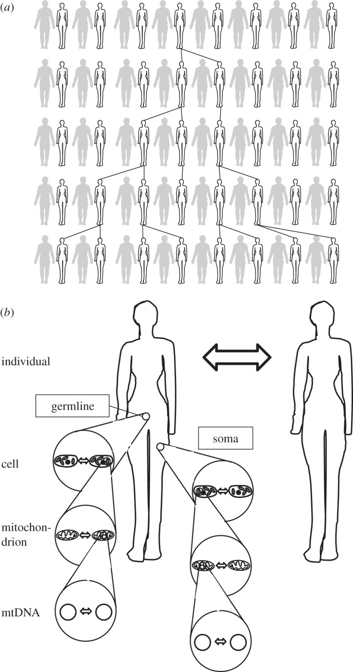 Figure 1.