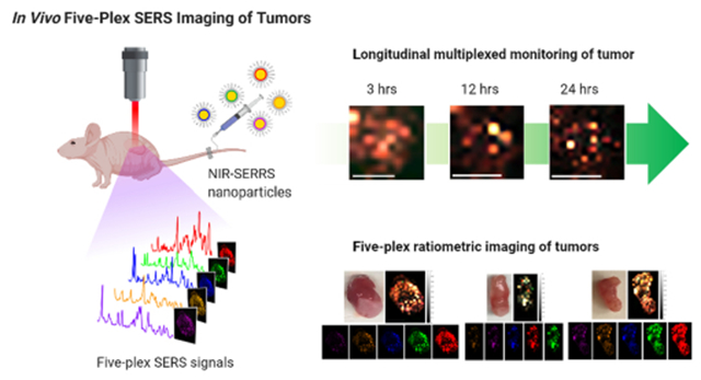 graphic file with name nihms-1794741-f0006.jpg