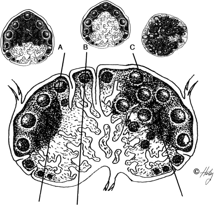 Figure 1.