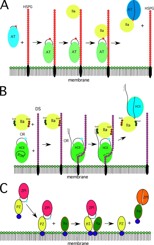 FIGURE 1.