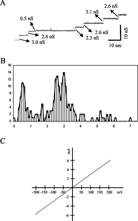 FIG. 8.