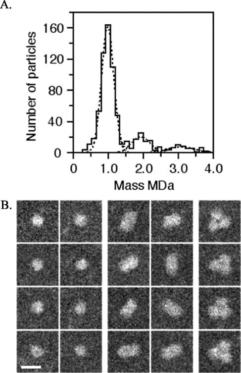 FIG. 6.