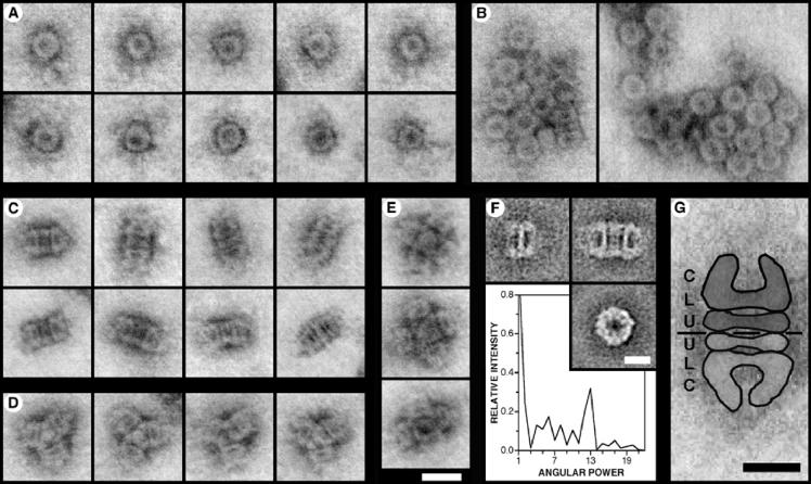 FIG. 7.