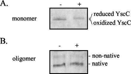 FIG. 5.