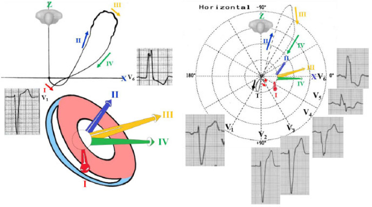 Fig. (4)