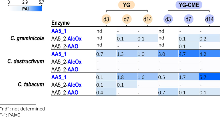 FIG 5