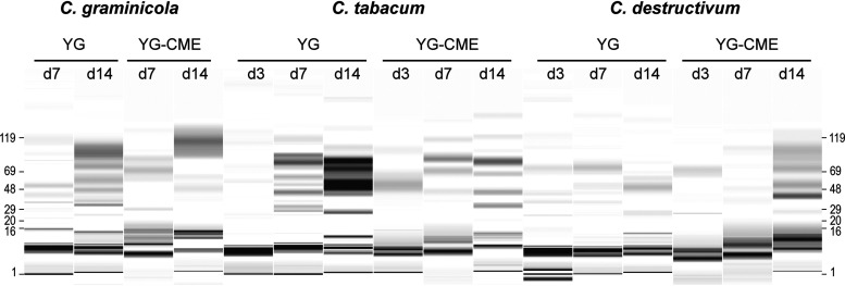 FIG 1