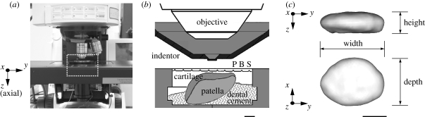 Figure 1.