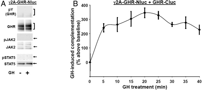 Figure 5.