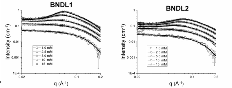 Figure 3 –