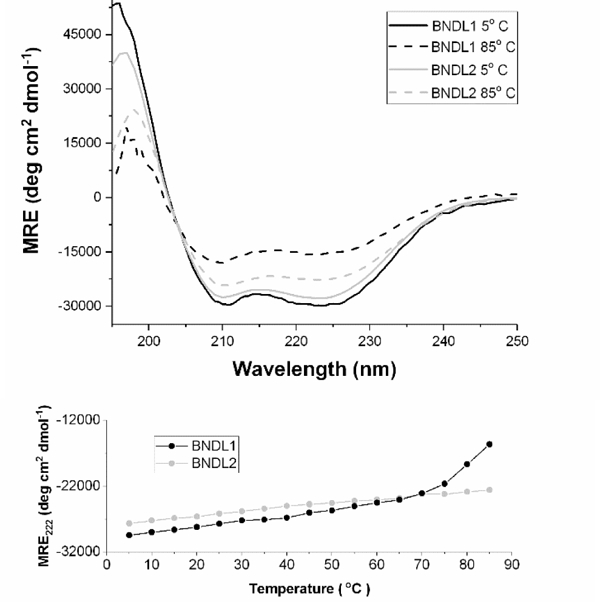 Figure 2 –