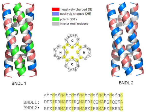 Figure 1 –