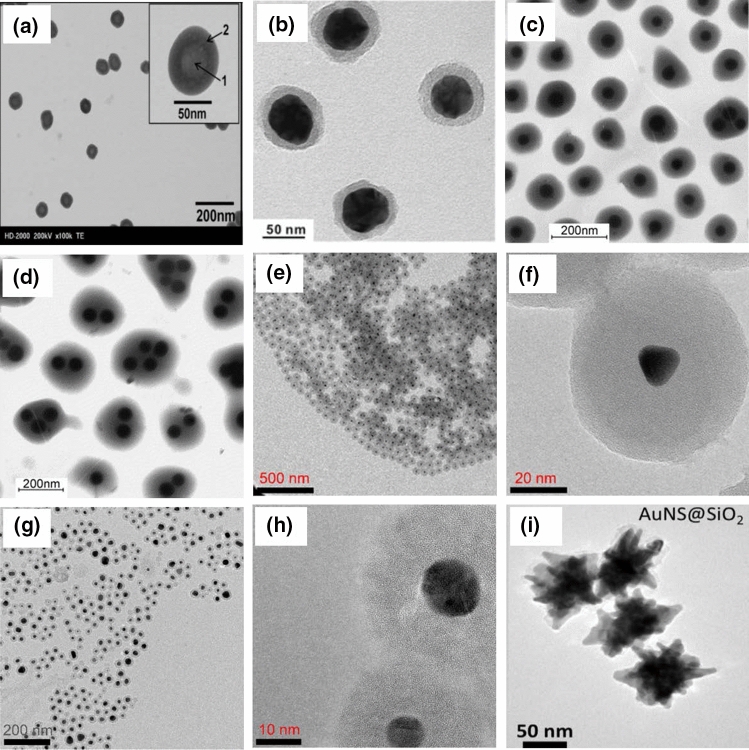 Fig. 13