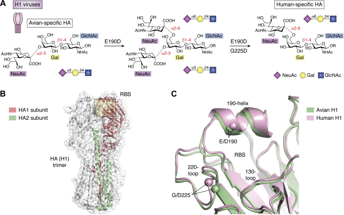 Figure 2