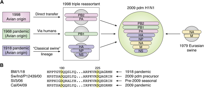 Figure 3