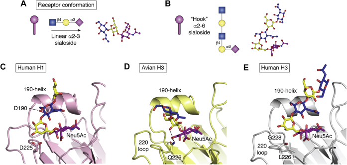 Figure 6