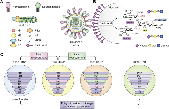 Figure 1