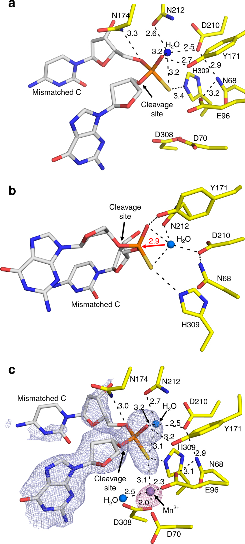 Fig. 3