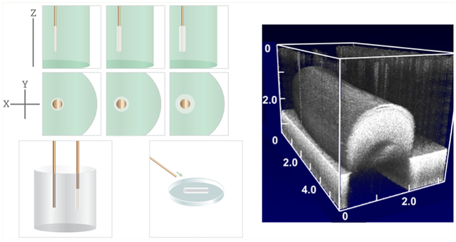 graphic file with name nihms-1553123-f0001.jpg