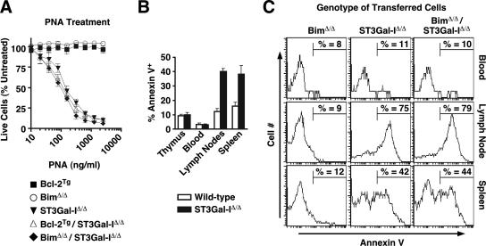 FIG. 9.