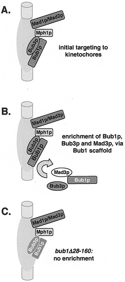 FIG. 9.