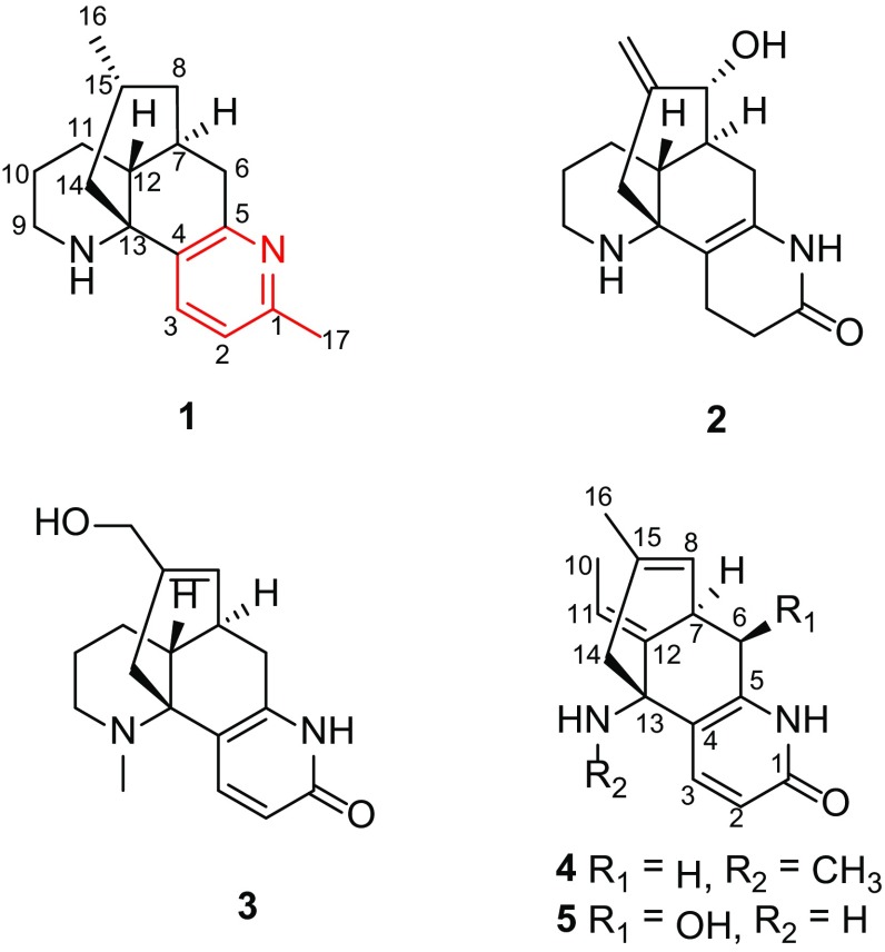 Fig. 1