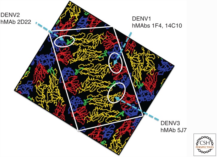 Figure 2.