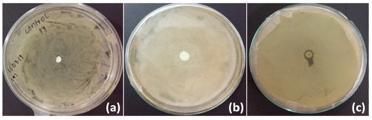 Figure 10