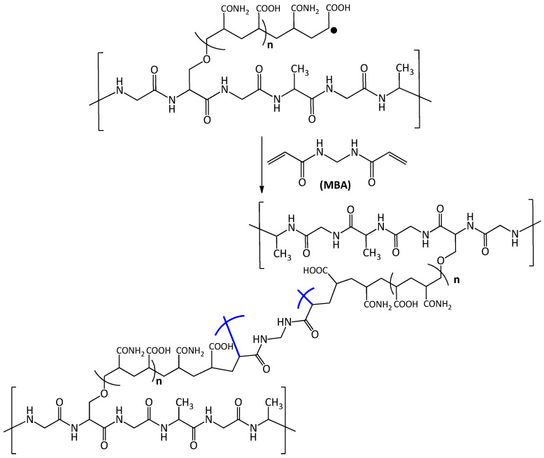 Scheme 2