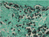 Figure 26.