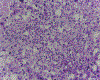 Figure 23.