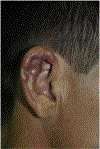 Figure 24.