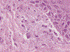 Figure 21.