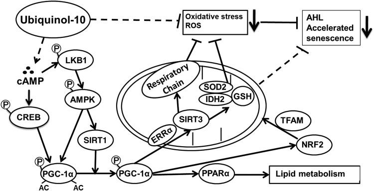 FIG. 8.