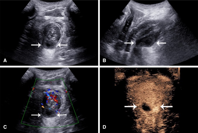 Fig. 3