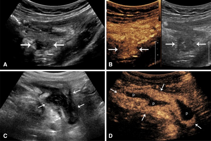 Fig. 7