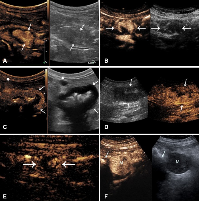 Fig. 8