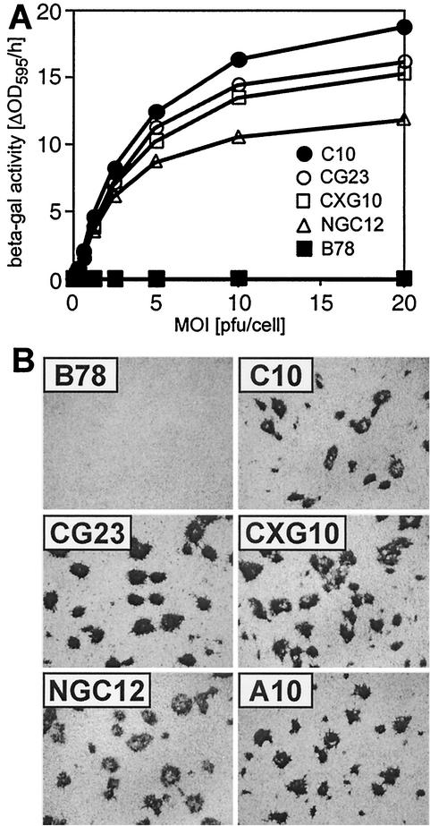 FIG. 4.