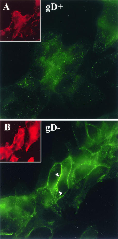 FIG. 7.