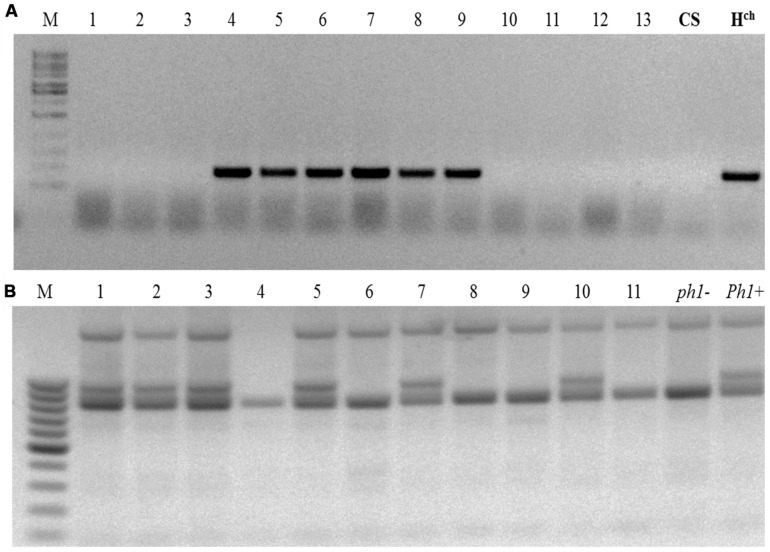 FIGURE 2