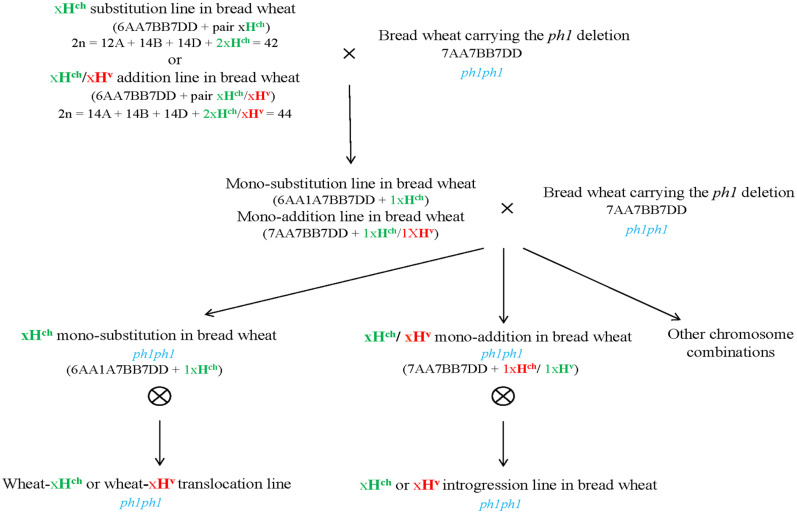 FIGURE 1