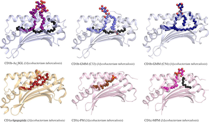 Figure 5.