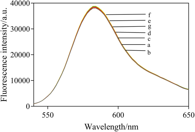 Fig. 5