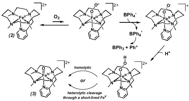 Scheme 2