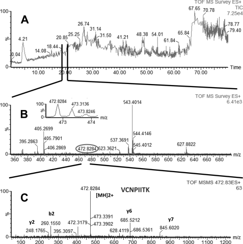 FIGURE 3.