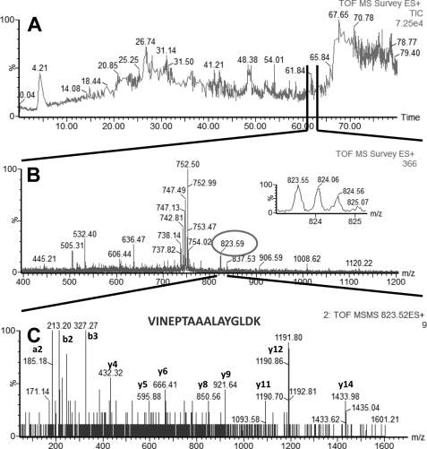 FIGURE 4.