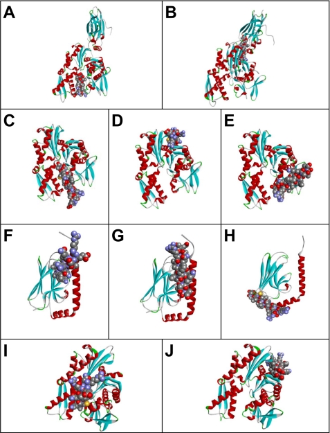 FIGURE 9.