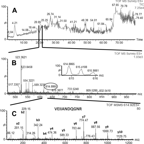 FIGURE 1.